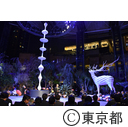 六本木アートナイト