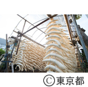 練馬大根