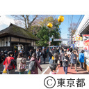 世田谷ボロ市