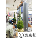 都庁門松