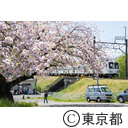 狭山公園