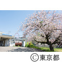 狭山公園
