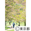 狭山公園
