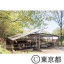 養豚・牧場