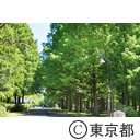 水元公園