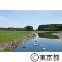 水元公園