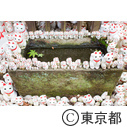 三軒茶屋 豪徳寺