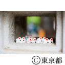 三軒茶屋 豪徳寺