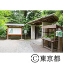 都立多摩図書館 お鷹の道真姿の池 殿ヶ谷戸庭園