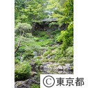 都立多摩図書館 お鷹の道真姿の池 殿ヶ谷戸庭園