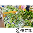 東京の農業 とうもろこし