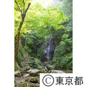 払沢の滝