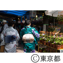 入谷朝顔まつり
