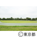 東京2020大会建設予定地 夢の島公園
