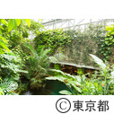 東京2020大会建設予定地 夢の島公園