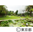 東京2020大会建設予定地 夢の島公園