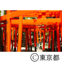東伏見の街並み 東伏見稲荷神社 都立東伏見公園