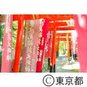 東伏見の街並み 東伏見稲荷神社 都立東伏見公園