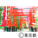 東伏見の街並み 東伏見稲荷神社 都立東伏見公園