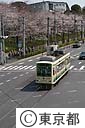 都電と桜