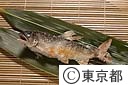 鮎の塩焼き
