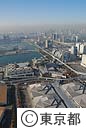 空撮（東京国際展示場）