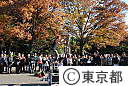 秋の上野公園