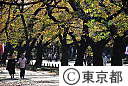 秋の上野公園