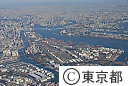 都内空撮（大井ふ頭と臨海部）