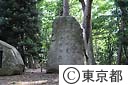 林試の森公園