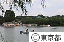 不忍池とボート