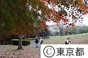 桜ヶ丘公園の秋