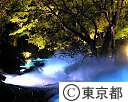 六義園（水香江のライトアップ）