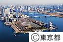 空撮（晴海埠頭、豊洲埠頭）
