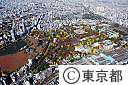 空撮（上野公園と不忍池）