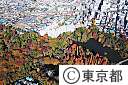空撮（井の頭公園の紅葉）