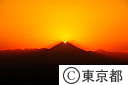 新宿都庁舎28階からダイヤモンド富士