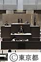 平成23年第一回都議会定例会(一般質問）
