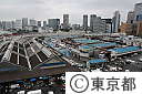 (1)築地中央卸売市場