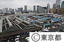 (1)築地中央卸売市場