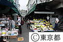 (1)築地中央卸売市場