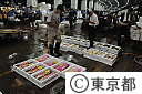 （２）築地中央卸売市場