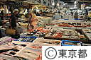 （２）築地中央卸売市場