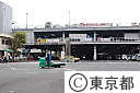 （３）築地中央卸売市場