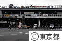 （３）築地中央卸売市場