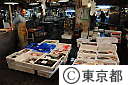 （３）築地中央卸売市場