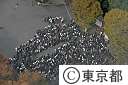 新宿都庁舎で防災訓練
