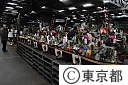 築地中央市場（初セリ・他）
