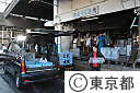 築地中央市場(初セリ・他)