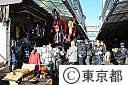 築地中央市場（初セリ・他）